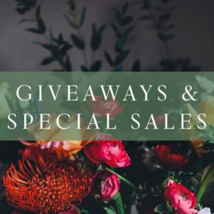 Cathy Gohlke Giveaways